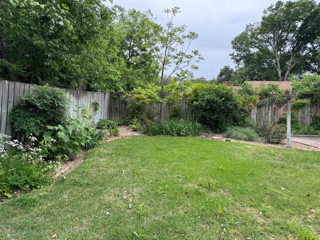 713 Sarah Jo St, La Grange, TX 78945 - view of yard
