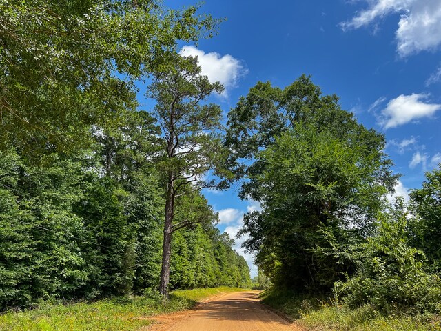 0000000 Kelley Rd, Livingston TX, 77351 land for sale