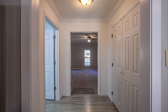 hallway featuring light carpet, a textured ceiling, and crown molding