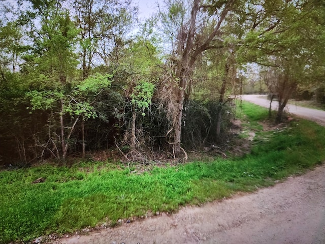 Listing photo 3 for 0 S Swan Lake Dr, Caldwell TX 77836