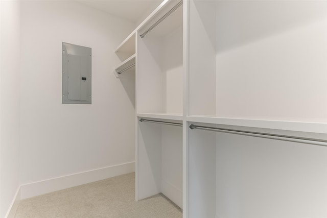 spacious closet featuring electric panel and light carpet