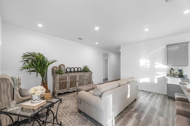 living room featuring hardwood / wood-style flooring