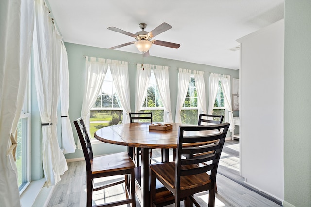 dining room with ceiling fan, plenty of natural light, and light hardwood / wood-style floors