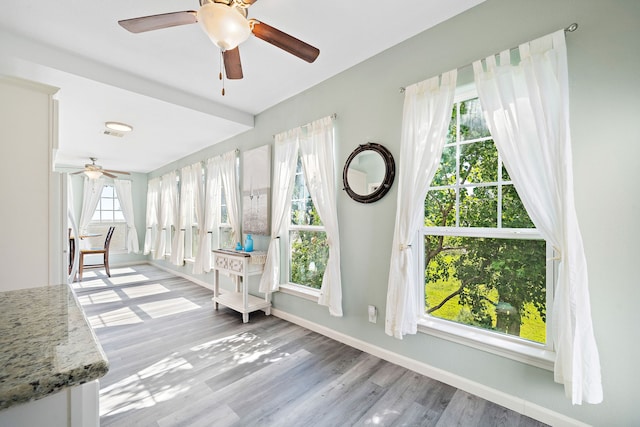 interior space with ceiling fan and a wealth of natural light