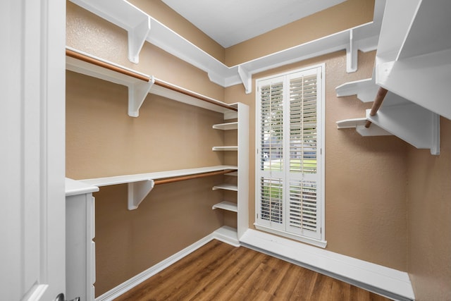 walk in closet featuring hardwood / wood-style flooring