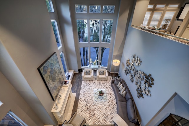 living room with dark hardwood / wood-style flooring and a high ceiling