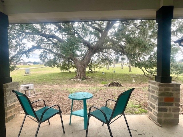 view of yard featuring a patio area