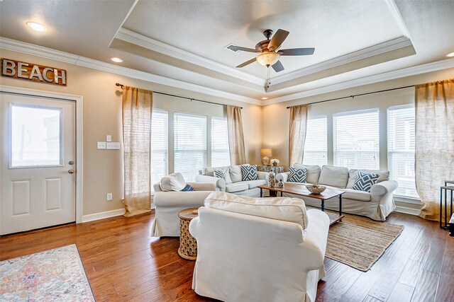 living room featuring wood-type flooring, a raised ceiling, and a wealth of natural light