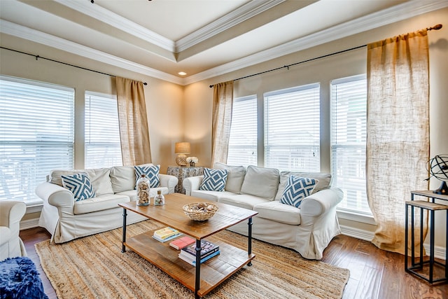 living room featuring ornamental molding, a tray ceiling, and hardwood / wood-style flooring