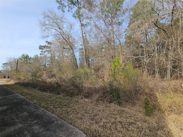 Listing photo 2 for 0 Roman Forest Blvd, New Caney TX 77357