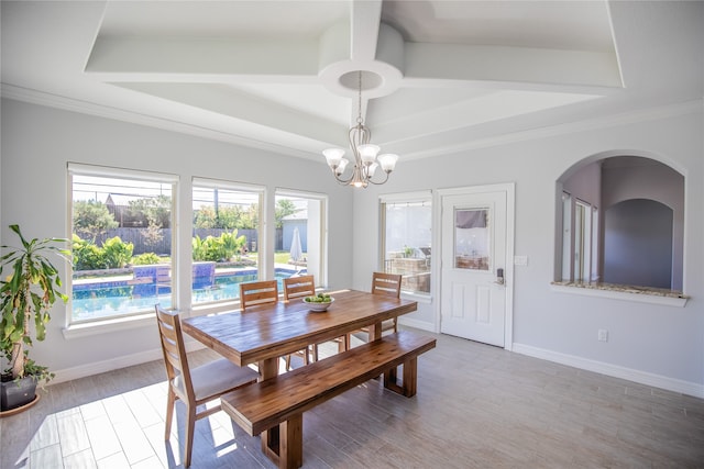 dining room with a notable chandelier, a raised ceiling, light hardwood / wood-style floors, and a healthy amount of sunlight