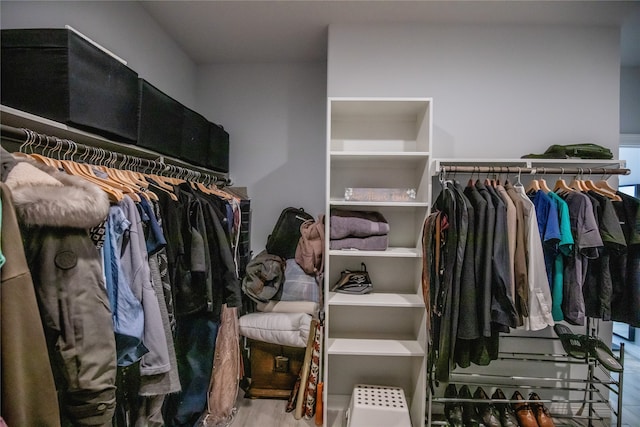 view of spacious closet