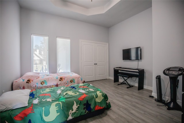 bedroom featuring a raised ceiling, light hardwood / wood-style floors, and a closet