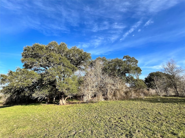 10021 Oil Field Rd, Brenham, TX 77833 - photo 4