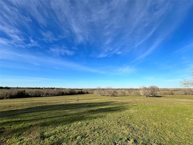10021 Oil Field Rd, Brenham, TX 77833 - photo 5