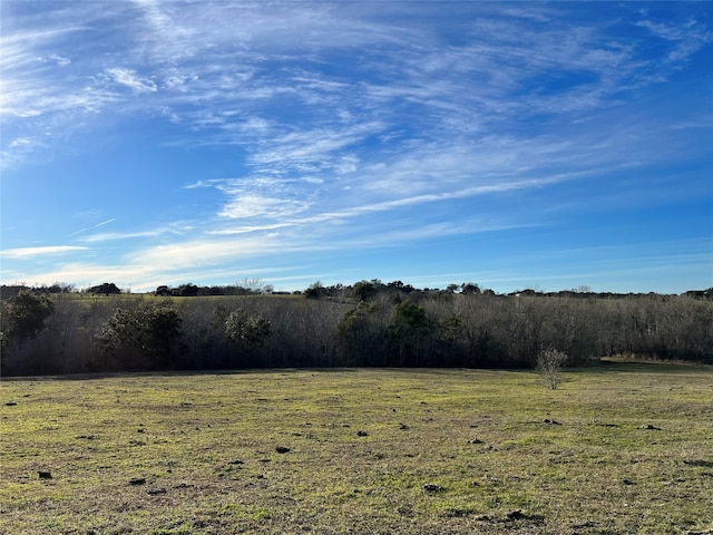 10021 Oil Field Rd, Brenham, TX 77833 - photo 7