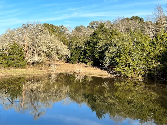 10021 Oil Field Rd, Brenham, TX 77833 - photo 10