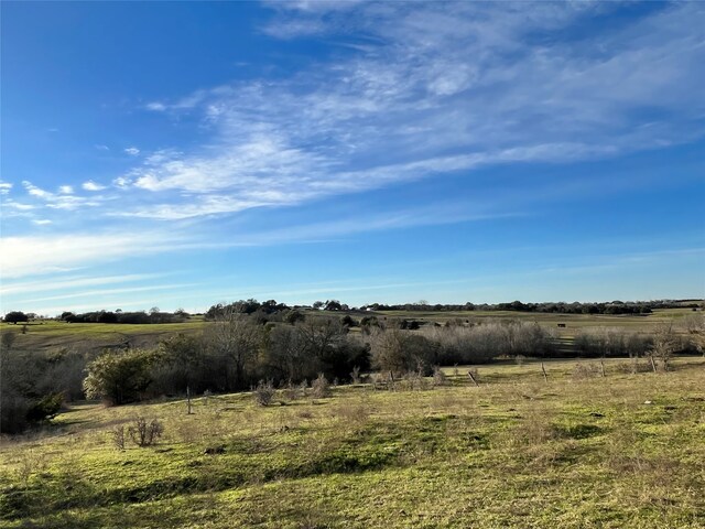 10021 Oil Field Rd, Brenham, TX 77833 - photo 12