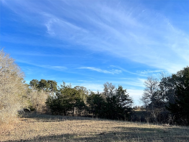 10021 Oil Field Rd, Brenham, TX 77833 - photo 14