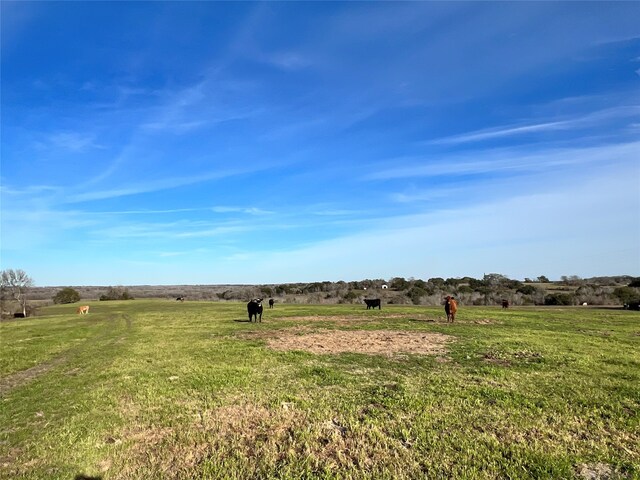 9785 Oil Field Rd, Brenham, TX 77833 - photo 5
