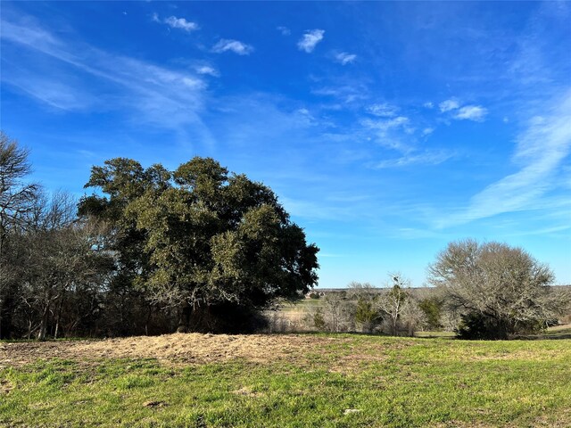 9785 Oil Field Rd, Brenham, TX 77833 - photo 7