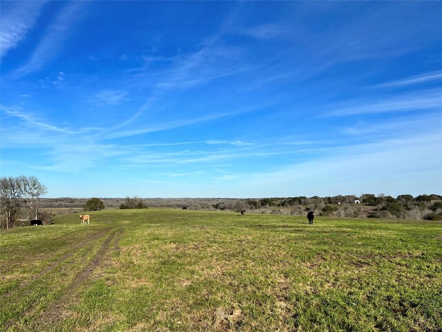 9785 Oil Field Rd, Brenham, TX 77833 - photo 8