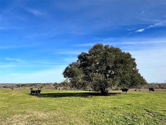 9785 Oil Field Rd, Brenham, TX 77833 - photo 9