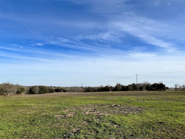 9785 Oil Field Rd, Brenham, TX 77833 - photo 10