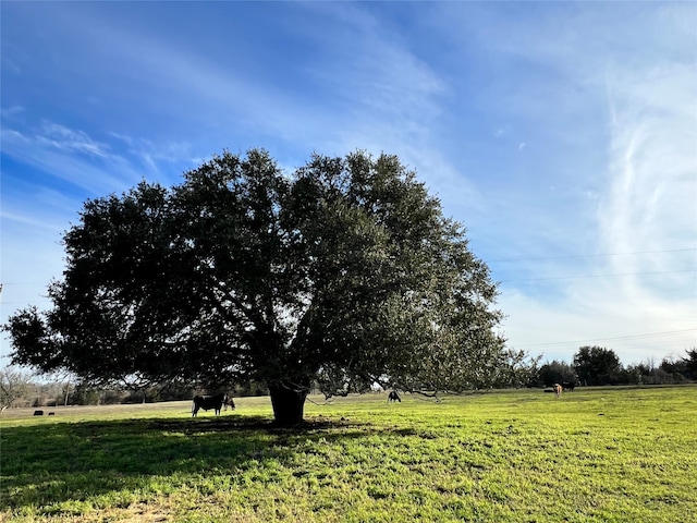 9785 Oil Field Rd, Brenham, TX 77833 - photo 4