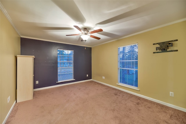 carpeted spare room with ceiling fan and ornamental molding