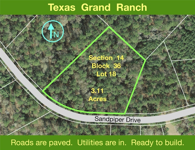 14-36-18 Sandpiper Dr, New Waverly TX, 77358 land for sale