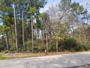 Listing photo 2 for TBD Water Oak, Livingston TX 77351