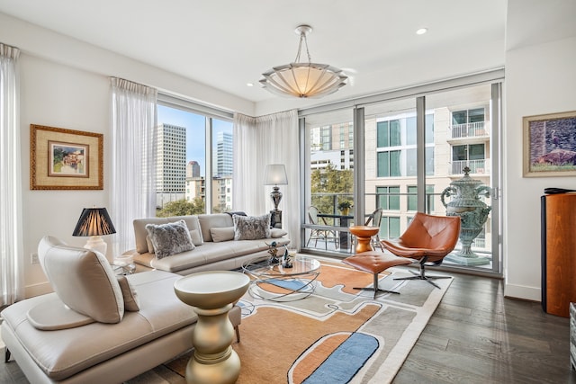 sitting room with dark hardwood / wood-style floors