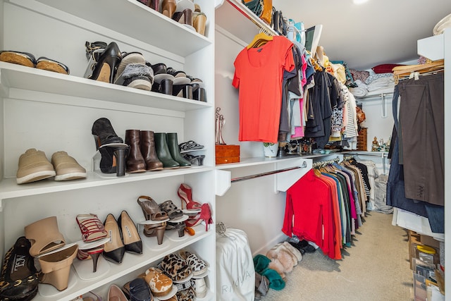 view of spacious closet