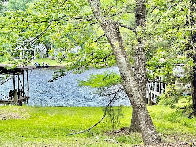 view of property view of water