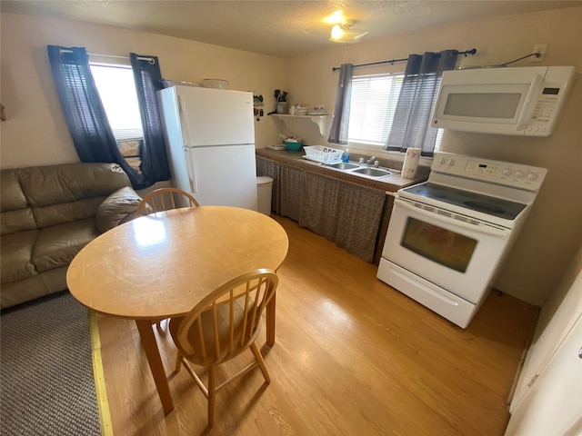 kitchen featuring light hardwood / wood-style flooring, white appliances, and sink