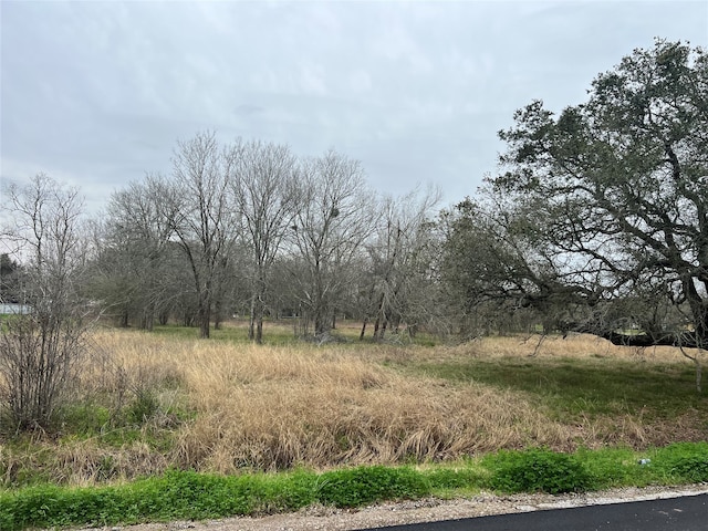 0 Fenn Rd, Rosharon TX, 77583 land for sale