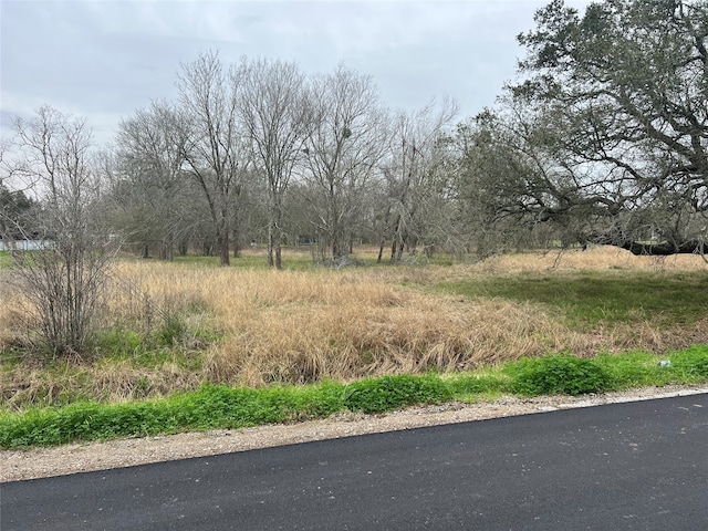 Listing photo 3 for 0 Fenn Rd, Rosharon TX 77583