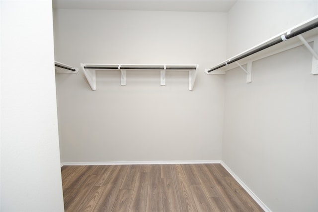 spacious closet with dark wood-type flooring