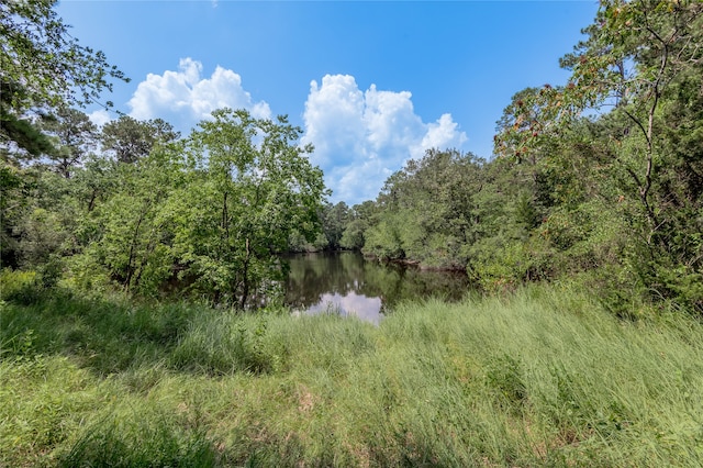 Listing photo 2 for LOT66 Hidden Ln, Trinity TX 75862