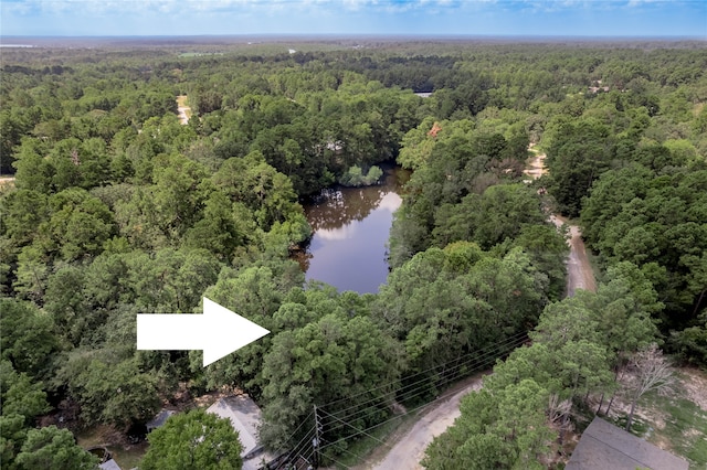 LOT66 Hidden Ln, Trinity TX, 75862 land for sale