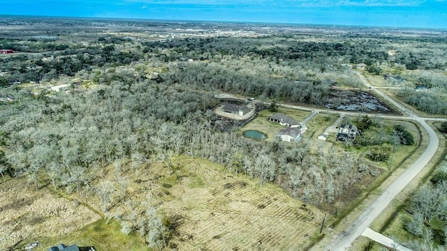 Listing photo 3 for 33326 Blue Marlin Dr, Richwood TX 77515