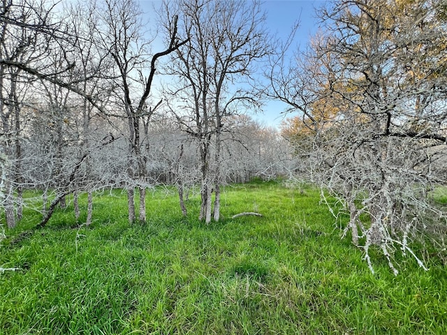 805 Wilderness, Somerville TX, 77879 land for sale