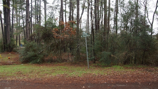 Listing photo 3 for TBD S Sunset Dr, Onalaska TX 77360