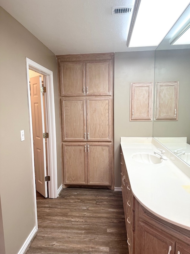 bathroom with wood-type flooring and vanity