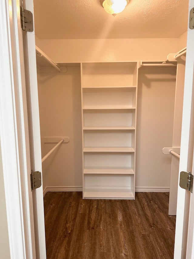 spacious closet with dark wood-type flooring