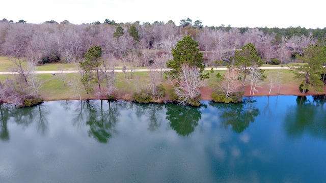 16 Smith Loop N, Cleveland TX, 77327 land for sale