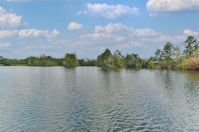 16 Smith Loop N, Cleveland, TX 77327 - photo 17
