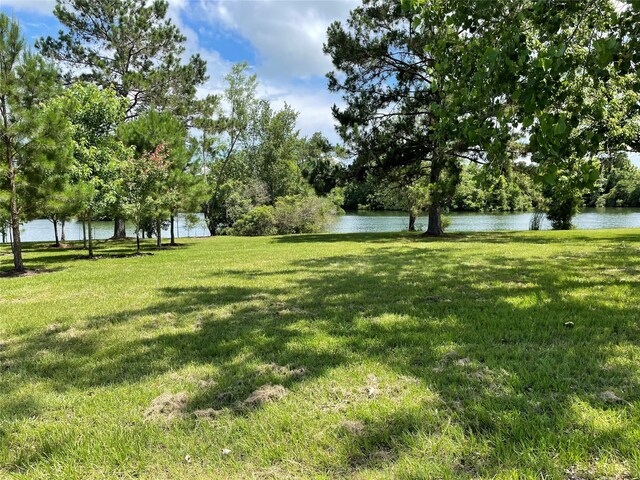 17 Smith Loop N, Cleveland, TX 77327 - photo 10