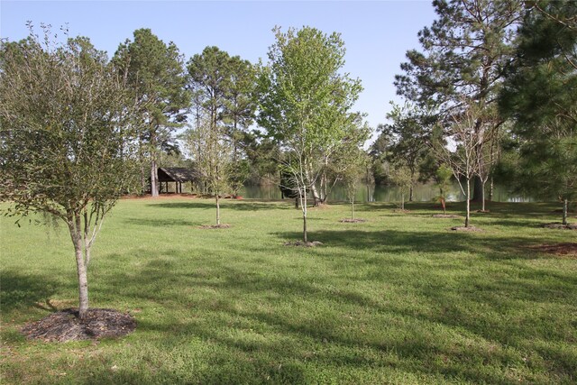 17 Smith Loop N, Cleveland, TX 77327 - photo 4